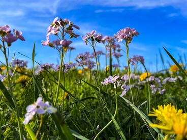 Un approccio terapeutico multidisciplinare, che integri trattamento medico, supporto psicologico e strategie di gestione dello stress, rappresenta la via più efficace per migliorare la qualità di vita dei pazienti