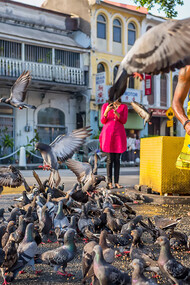 A man is feeding birds in George Town, Penang, Malaysia, amidst the city's lively atmosphere