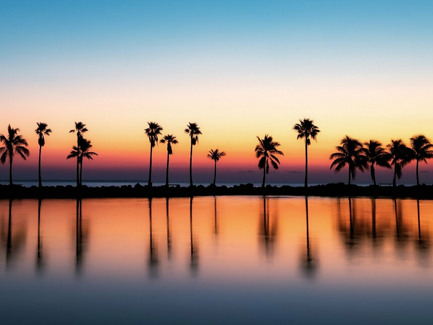 Nature in mass marketing of Miami