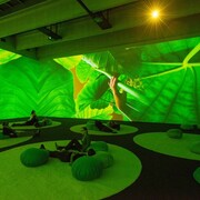 Pipilotti Rist, Gnade Donau Gnade (Mercy Danube Mercy), 2013-2015. Courtesy of New Museum