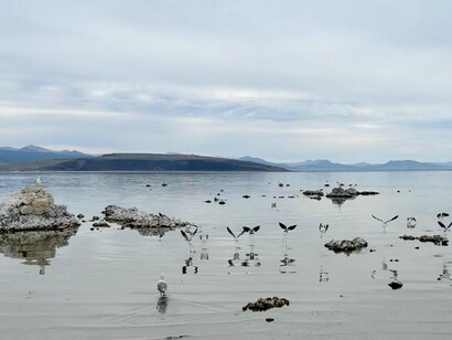 Mono Lake, located in Mono County, California, is a saline soda lake formed at least 760,000 years ago as a terminal lake in an endorheic basin. Because it has no outlet, salts accumulate over time, making its waters highly alkaline, USA