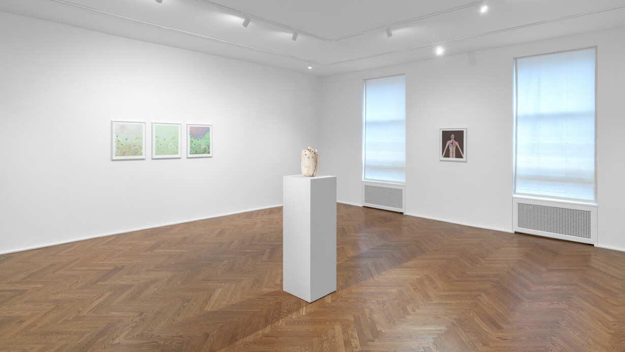 Sanya Kantarovsky, Scarecrow, exhibition view. Courtesy of Michael Werner Gallery