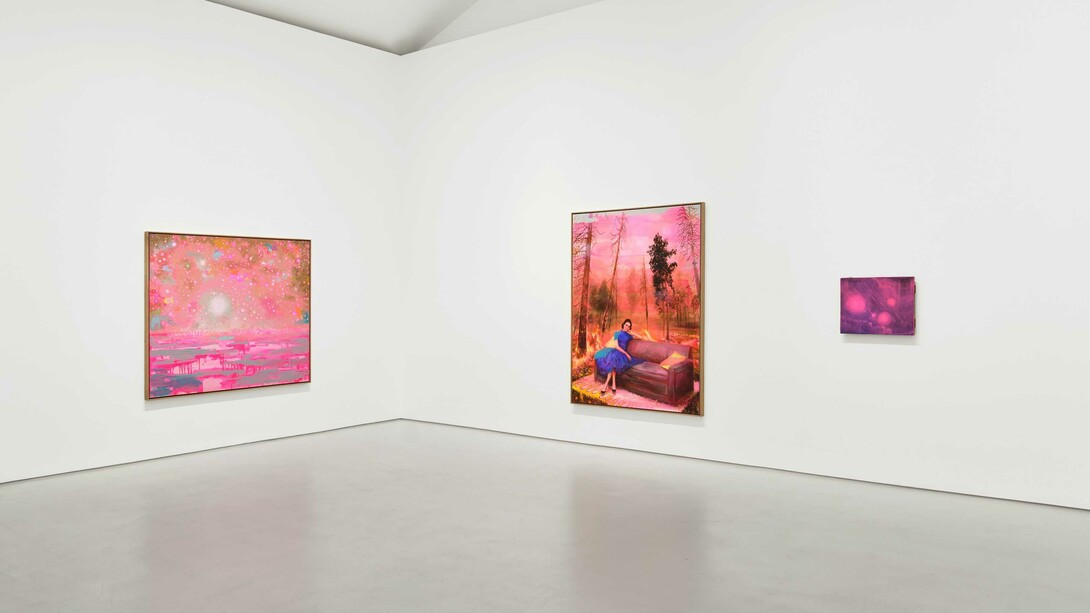 Tursic & Mille, Lavis en rose, vue d'exposition. Avec l'aimable autorisation de la Galerie Max Hetzler