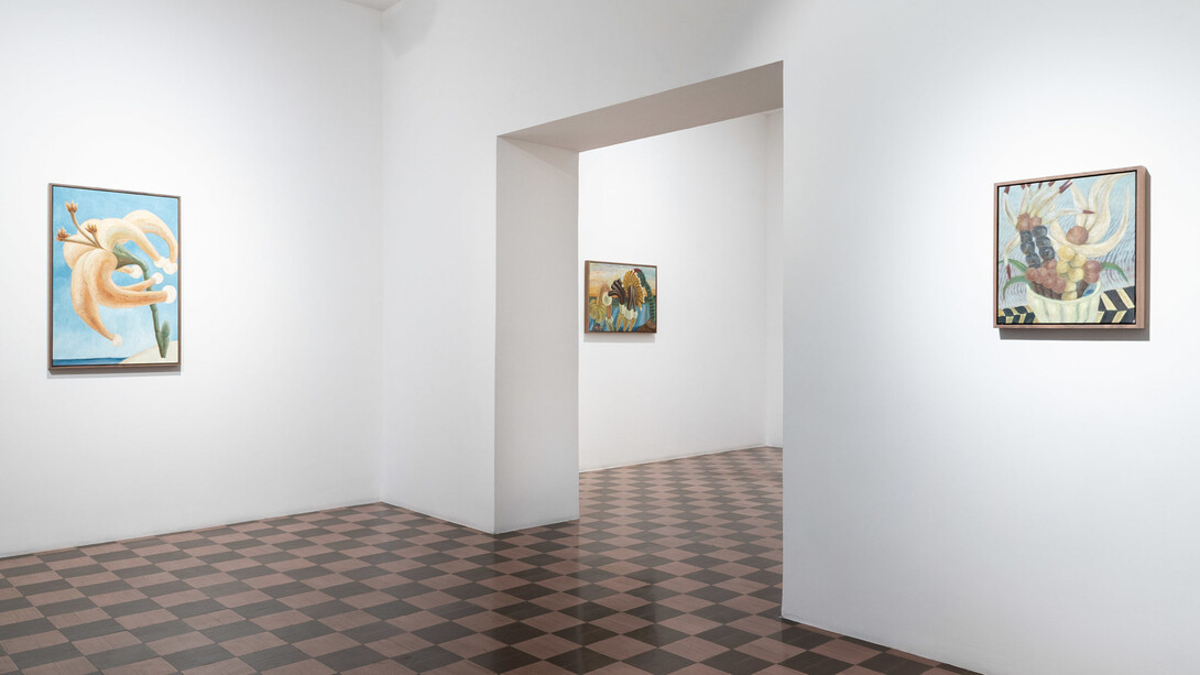 Rayana Rayo, Yo soy semilla, vista de exhibición. Cortesía de Travesía Cuatro
