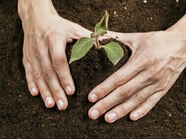 Uma organização que deseja ser diversa precisa garantir que sua base processual não perpetue desigualdades. Isso significa revisar protocolos com lentes interseccionais, ouvir pessoas usuárias e colaboradoras em sua pluralidade e transformar os bastidores em espaços de acolhimento e acesso