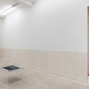 Thea Djordjadze, Back facing front, veduta della mostra. Per gentile concessione di Kaufmann Repetto