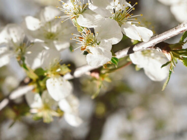 Su capacidad para levantarse tras cada golpe demuestra que la resiliencia no nace del olvido, sino de aprender a seguir con las heridas abiertas