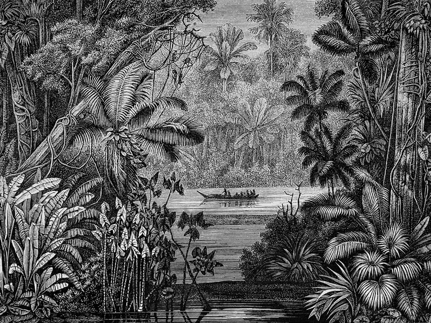 Karl Ferdinand Appun Meer