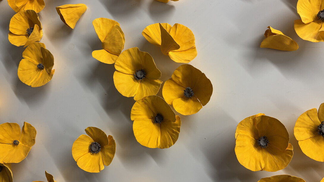 Owen Mann, Celestial Poppies (detail), 2025. Courtesy of Wally Workman Gallery