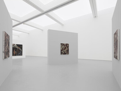 Wang Xinyan, Ramble, exhibition view. Courtesy of Hive Center for Contemporary Art
