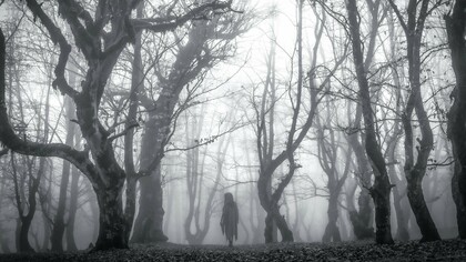 A spooky figure in a forest, representing the unknown forces humans have historically filled with cryptids and legends