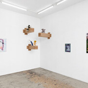 Guillaume Pinard, L'île aux mouches, exhibition view. Courtesy of Anne Barrault Gallery