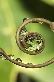 The sense of life