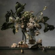 Christopher Broadbent, Flowers IV , 2012, fotografia, 38 x 55 cm