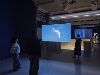 Asta Gröting, Ein wolf, primaten und eine atemkurve, ausstellungsansicht. Mit freundlicher genehmigung des Museums Städel