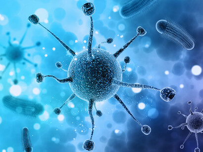Visualisation imagée du monde microbien : l’E. coli, bactérie modèle, permit à Monod et ses collègues de mettre en évidence l’opéron lactose, une découverte révolutionnaire