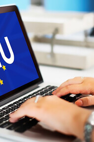 Female hands using a computer with EU logo displayed on the screen, representing digital diplomacy and economic initiatives