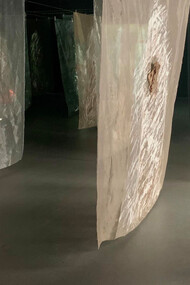 Guillermina Ortega; Instalación «Seres de luz»