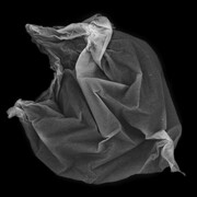 Fin.land. Courtesy of The Finnish Museum of Photography