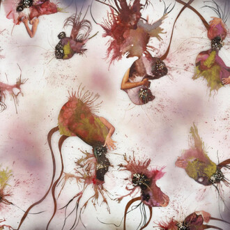 Wangechi Mutu, Cassandra (detail), 2007. Courtesy of Cristin Tierney Gallery