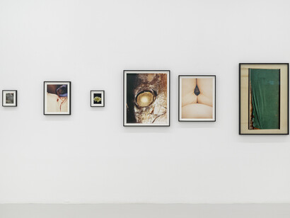 The garden, installation view. ©Harley Weir. Courtesy the artist and Hannah Barry Gallery, London, UK. Photography by ©Damian Griffiths