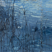 Hernán Salamanco, Laguna mental (detalle), 2025. Cortesía de Herlitzka & Co