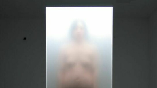 I Santissimi, In vivo, 2013, silicone, resina
200 x 75 x 45 cm, Courtesy Gagliardi Art System, Torino