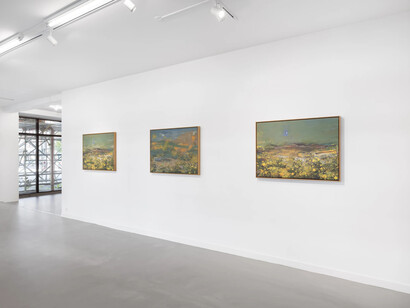 Petra Cortright, Soft stone under heaven exceeded trial period, exhibition view. Courtesy of Brigade Gallery