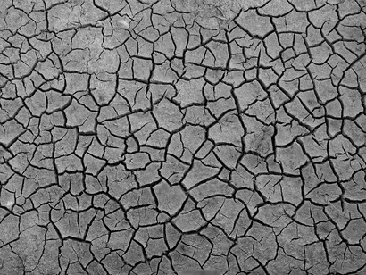 E o café? Ah, o café... Eu gosto tanto de café que sou formada como técnica em cafeicultura. Não consigo imaginar minha rotina, meus momentos de pausa e concentração, sem meu cafezinho. É sério! Essa bebida, que é quase um patrimônio nacional, ficaria cada vez mais escassa e, consequentemente, mais cara