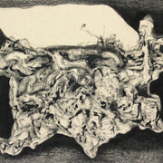 Dhan Fabbri, Mandala-landscape n.1,2014, tecnica mista su tela, 90 x 150 cm