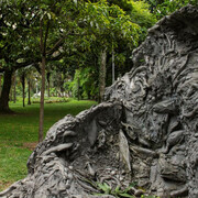 Various artists, Sculpture garden, exhibition view. Courtesy of Pinacoteca