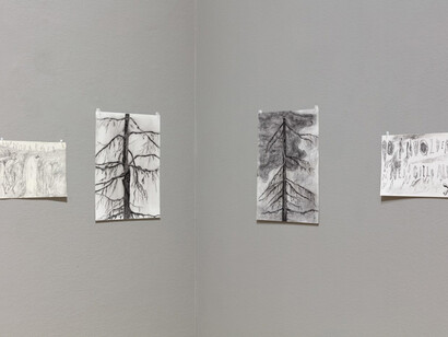 Jeff Olsson, Palace of the forest, exhibition view. Courtesy of Galleri Magnus Karlsson