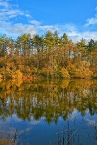 Panorama del laghetto di Moglio, Oltrepò Palvese, Lombardia, Italia