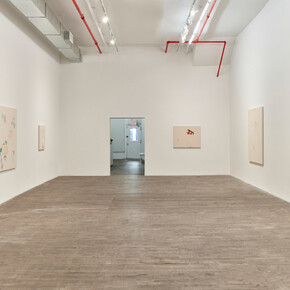 Sofia Silva, Spoiled by Freud, exhibition view. Courtesy of Andrew Kreps Gallery
