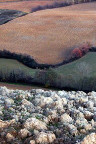 Lorenzo Bojola, “Linari”, 2003, fotografia digitale