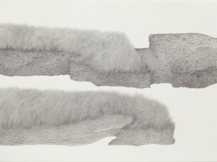 Jane Dixon, Landscape, 2013, Graphite frottage and pencil on paper, 56 x 76 cm, © Courtesy of