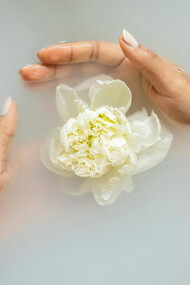 A pair of hands carefully guarding a blooming flower floting on murky water