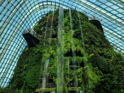 Green trees inside a glasshouse in Singapore, showcasing sustainable architecture and innovative green building design