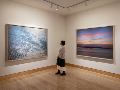 Richard Misrach, Rewind, exhibition view. Courtesy of Fraenkel Gallery