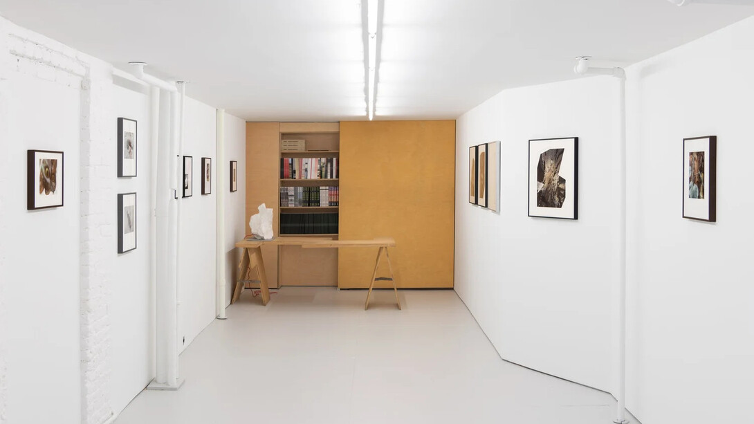 Assaf Evron, If a butterfly ever saw an owl, exhibition view. Courtesy of Osmos Gallery