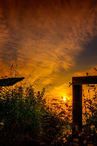 In this tranquil meadow, the interplay of light and shadow reflects the dialectical tension between being and not being, inviting us to contemplate the boundaries we navigate in life