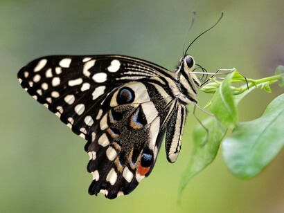 Come il fuoco un tempo, oggi il codice alimenta le nostre menti e plasma il nostro mondo