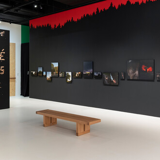 Photographic survey of the Canton of Vaud, Six photographers' perspectives, exhibition view. Courtesy of Photo Elysée