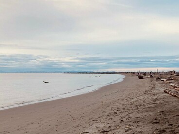 A view of Point Grey from Wreck Beach, Vancouver, Canada
