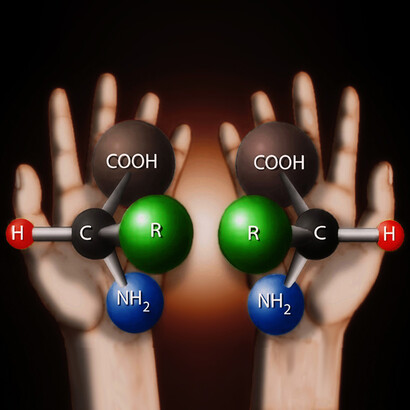 The chirality of the amino acids. The four different groups bound to the C-atom are the following: a H atom, a –COOH group (called carboxylic acid), a –NH2 group (amino group), and a so called alkyl group, indicated as –R group in the figure. We have in nature many different amino acids (twenty of them are encoded directly by the genetic code) which differ in the chemical nature of the –R group, and they are all asymmetric, except for glycine, in which –R is another H atom. So, to give a few examples, when –R is –CH3 (methyl group), we have Alanine (Ala). When –R is –CH2OH, we have Serine (Ser), and when this group is a –CH2– with attached a benzene ring, we have Phenylalanine (Phe).