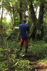 La película “Árboles”, perteneciente a “Aquí hay dragones”