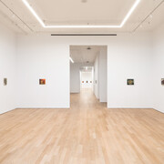 Phoebe Helander, Paintings from the orange room, exhibition view. Courtesy of P·P·O·W