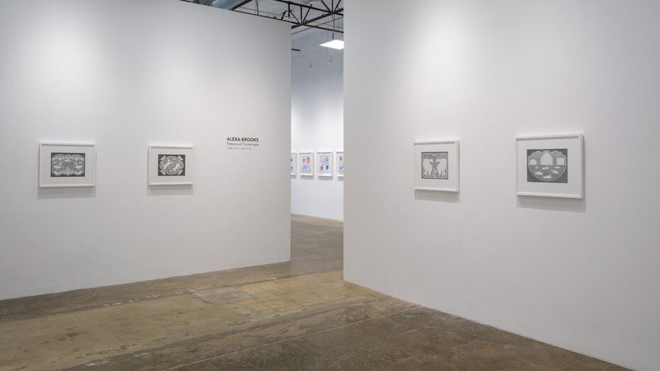 Alexa Brooks, Patterns of catastrophe, exhibition view. Courtesy of Erin Cluley Gallery