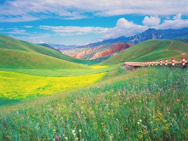 Il contatto con ambienti naturali migliora l’umore e aumenta la sensazione di calma e serenità