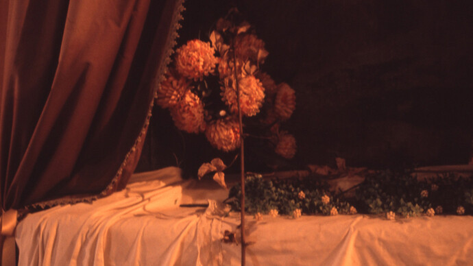 Veronica Daltri